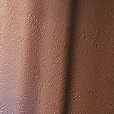 木漏れ日の写真